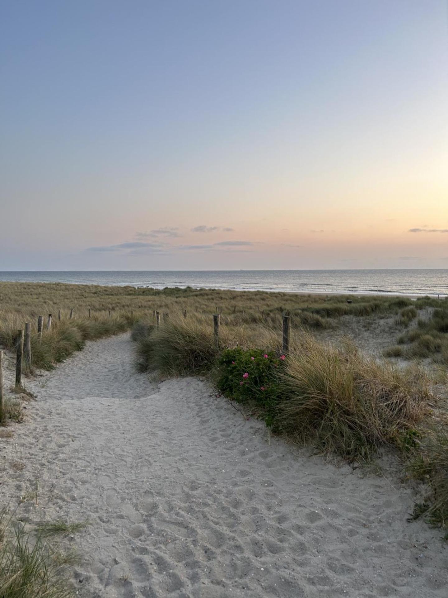 Breezy Beach Chalet Petten Bagian luar foto