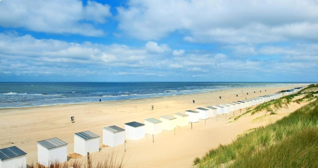 Breezy Beach Chalet Petten Bagian luar foto